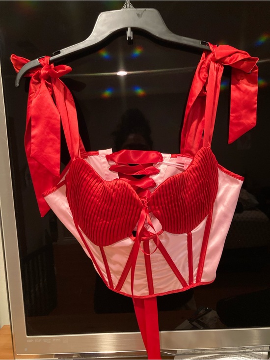 Dolls Kill Tops - Dolls Kill Large satin heart crop top corset